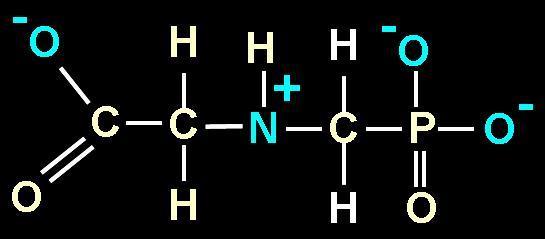Sulfato de amônio adubo foliar Adequação do ph do apoplasto Aumenta a absorção de ácidos fracos Forma protonada é mais absorvida por ser mais lipofílica Reduz o antagonismo do glyphosate com sais