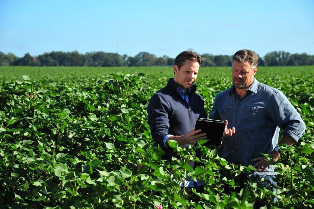 PRO AGRONEGÓCIO Profissionais do agronegócio,