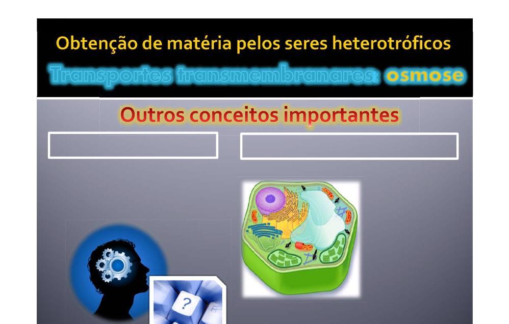 PRESSÃO OSMÓTICA PRESSÃO DE TURGESCÊNCIA Corresponde à pressão que tem de ser feita para contrariar o processo osmótico!