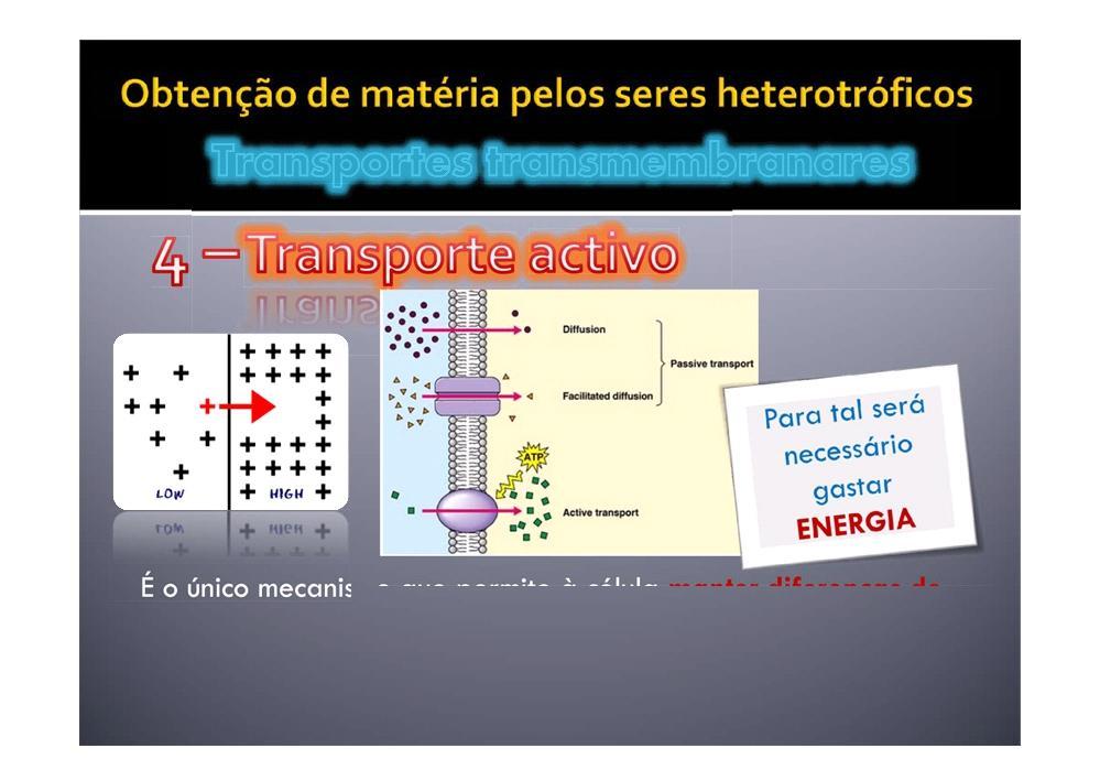 m concentração entre o meio extracelular e intracelular!