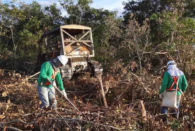 Figura 5 - Funcionários trabalhando no resgate de