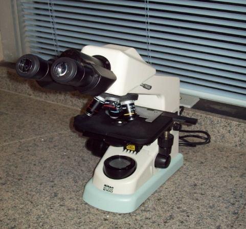 (E) Verificação da qualidade do sêmen ao microscópio.