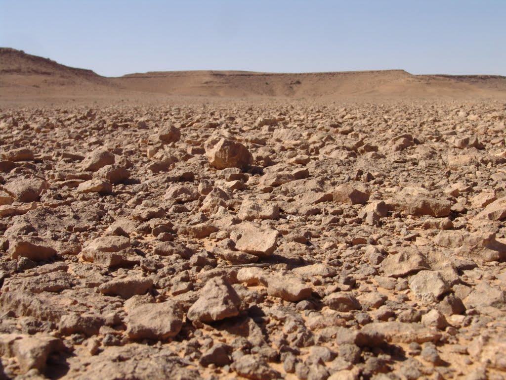 Pavimento Desértico Deserto de Sonora,