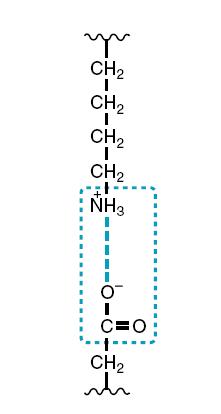 Interações químicas dos aminoácidos C.