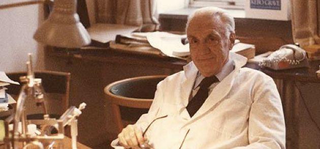 Prof. Lars Leksell (1907-1986). Neurocirurgião sueco, criador do Gamma Knife e do conceito da Radiocirugia.