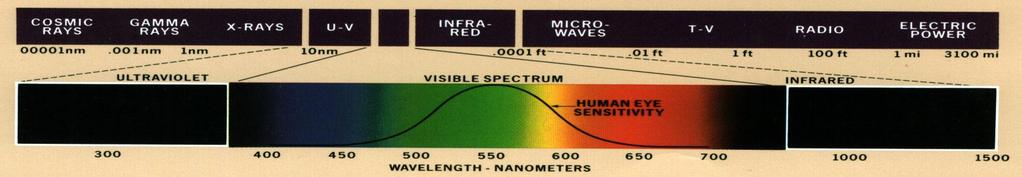 Fitocromos Experimentos com luz em diferentes comprimentos de onda (principalmente vermelho e vermelho extremo): primeiros indícios da presença de fitocromos nas plantas; Em