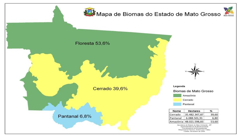 Mapa de cobertura vegetal FLORESTA 53,6%