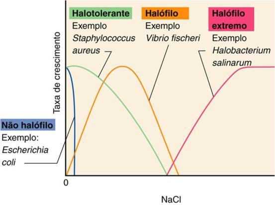 15% halófilos extremos: [ ] altas 15 a 30% Efeito da concentração do íon sódio no crescimento de