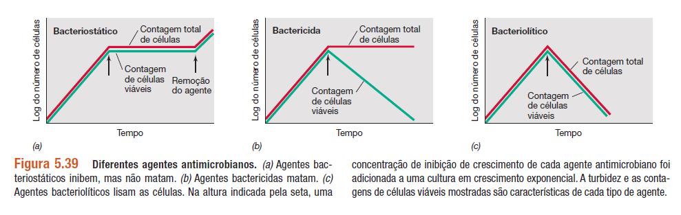 Termos importantes Agentes bactericida, fungicida, viricida: que matam bactérias, fungos e vírus, respectivamente.