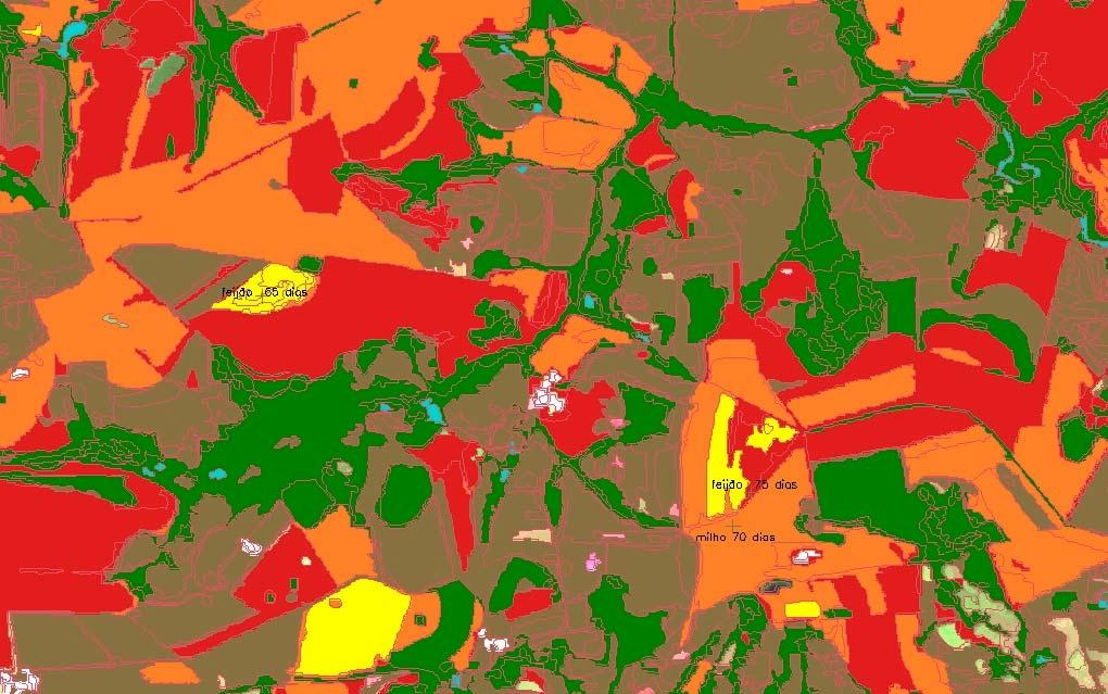 Figura 4: Áreas classificadas - os talhões das culturas de milho estão na cor laranja, feijão na cor amarela, corpos d água na cor azul, vegetação natural na cor verde, solo exposto na cor marrom, na
