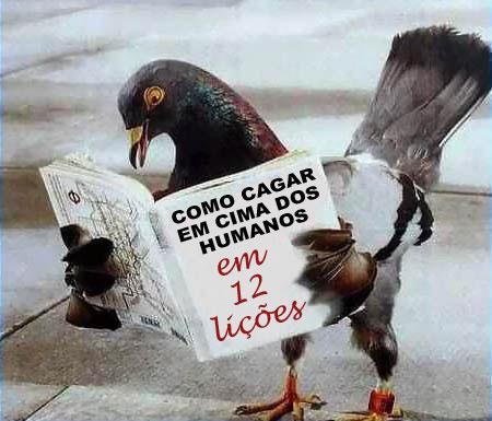 DINÂMICAS DE APRENDIZADO Para aprender é preciso