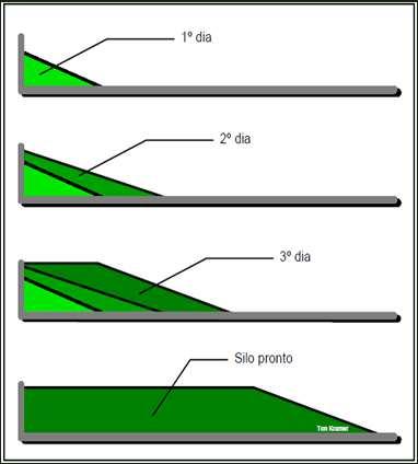 trincheira   