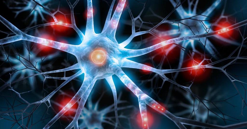 Como são e como funcionam os neurônios Os neurônios são células nervosas que formam o sistema nervoso. Somente no nosso cérebro, existem mais de 100 bilhões de neurônios.