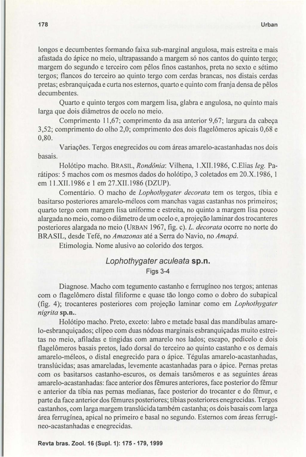 178 Urban longos e decumbentes formando faixa sub-marginal angulosa, mais estreita e mais afastada do ápice no meio, ultrapassando a margem só nos cantos do quinto tergo; margem do segundo e terceiro