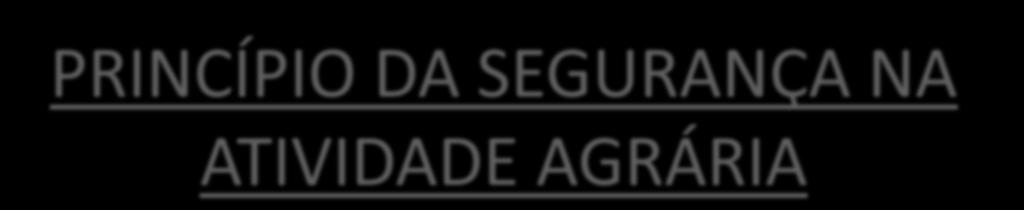 PRINCÍPIO DA SEGURANÇA NA ATIVIDADE AGRÁRIA Art. 187.