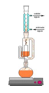 Figura 3 