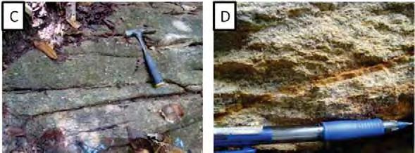 Esta falha coloca o Bloco Moquém sobre as rochas do GBP. Este litotipo apresenta granulação grossa a muito grossa (figura 4.
