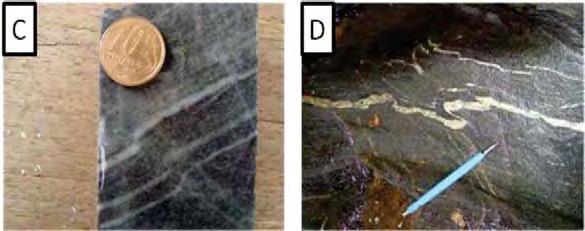 Microscopicamente (lâmina ACT-194) apresenta textura granoblastica com porções lepidoblasticas (marcada por micas), estrutura tipo foliação tipo gnáissica (marcada por micas e quartzo).