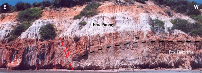 O calcário da Formação Jandaíra, tectonizado, aflora localmente, na base da falésia.