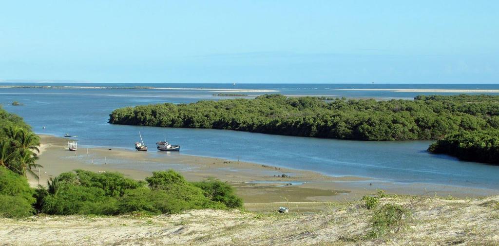 1. INTRODUÇÃO 1.1. CONSIDERAÇÕES GERAIS A região adjacente ao estuário de Diogo Lopes, que se situa no estado brasileiro do Rio Grande do Norte (RN) é caracterizada por um clima tropical, que por sua