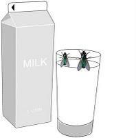 Reflexão Fábula das moscas No copo de leite No copo de