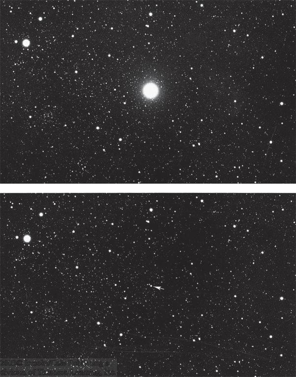 Nova Hidrogênio acrescentado pelo disco se acumula na superfície da anã branca. Nova Cygni 1975 Camada quente e densa de hidrogênio até.