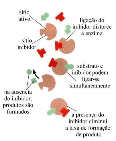 Os inibidores não-competitivos não tem semelhança estrutural com o substrato de reação que inibem.