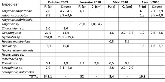 Figura 11. Variação na abundância dos táxons de peixes no ribeirão Grande, Bairro dos Teodoros.