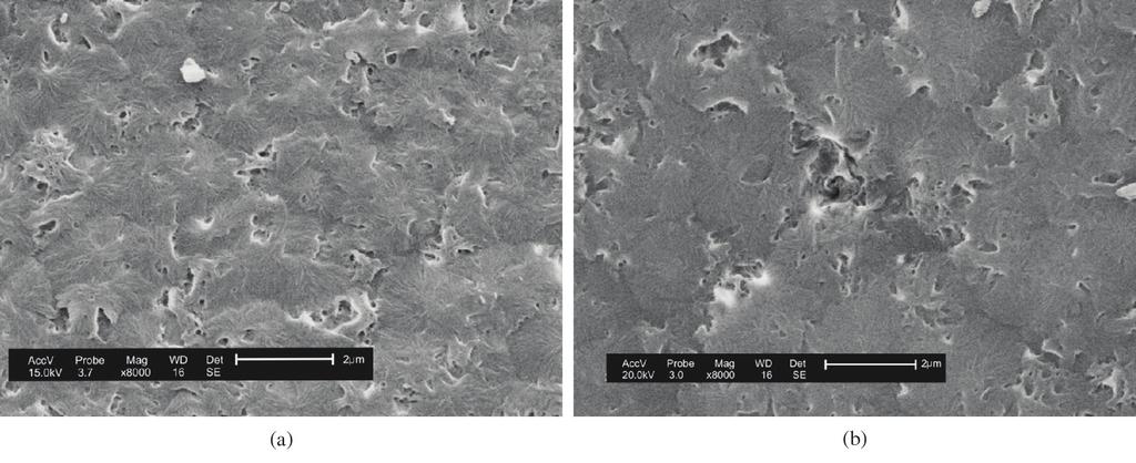 Leite, A. M. D. et al. - Obtenção de membranas microporosas a partir de nanocompósitos de polimida 6/argila nacional. esses planos cristalinos para o mesmo polímero[17-20].