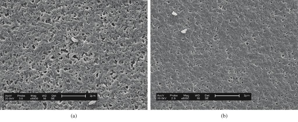 Leite, A. M. D. et al. - Obtenção de membranas microporosas a partir de nanocompósitos de polimida 6/argila nacional. Figura 4.