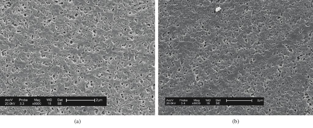 Fotomicrografias obtidas por MEV da superfície de topo da membrana de PA 6/OMMT-Cet (a) com maior teor de ácido e (b) com menor teor de ácido.