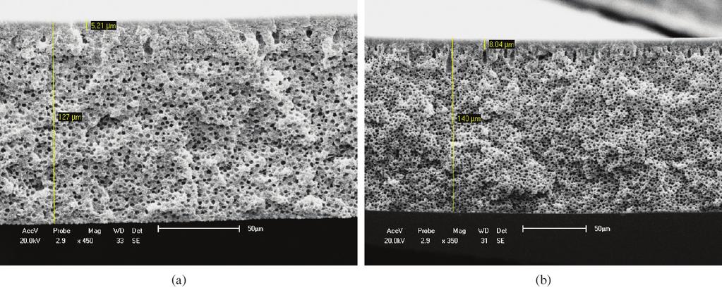 Leite, A. M. D. et al. - Obtenção de membranas microporosas a partir de nanocompósitos de polimida 6/argila nacional. Figura 9.