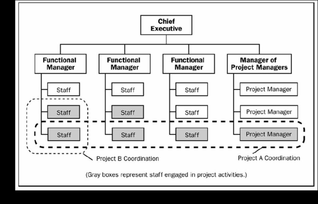 Influência da estrutura organizacional Estrutura organizacional
