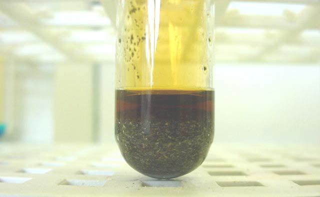 Reacção química entre o ácido nítrico e o carbonato de cálcio existente no calcário.