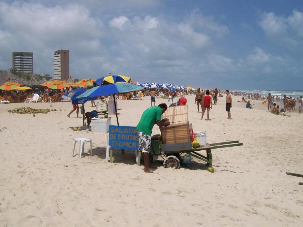 215 Imagem 54. Coqueiro mais comum da Praia do Futuro, nas proximidades da barraca-complexo América do Sol. Foto do autor: 01/02/2009.