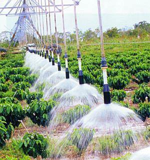 agricultura Produtividade (Kg/ha) Produtividade x Irrigação Y max Y