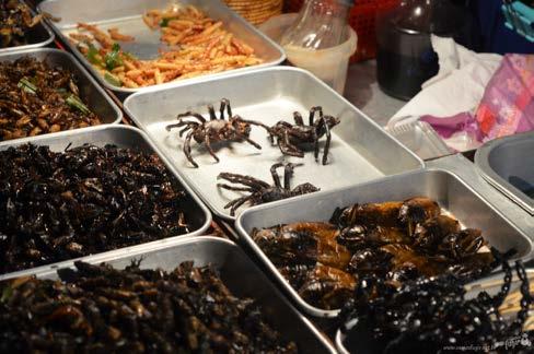 Capturam o alimento através da filtração da água do mar. Ex: Ostra, mexilhão, vieira. CLASSE CEFALOPODA: Podem ou não ter concha.