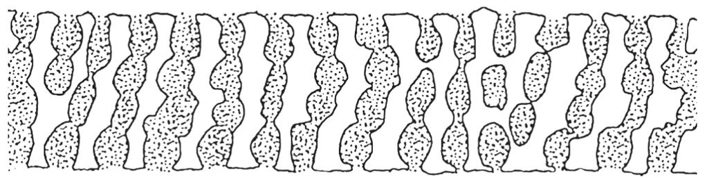 Dessa forma assemelha-se a uma escada, na qual os degraus são os intervalos entre as células.
