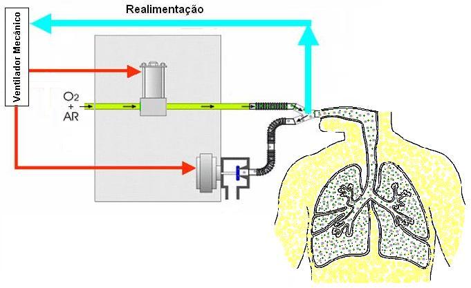 Capítulo 1 -. INTRODUÇÃO Durante todo o processo é necessário controlar a concentração de oxigênio e de outros gases, no caso de anestesia, no fluxo enviado ao paciente.