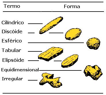 Forma dos