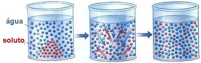 Movimento da água: mecanismos Fluxo de massa: a favor de um gradiente de pressão Difusão: a favor de um gradiente de concentração Taiz, L. & Zeiger, E. (2006). Plant Physiology.