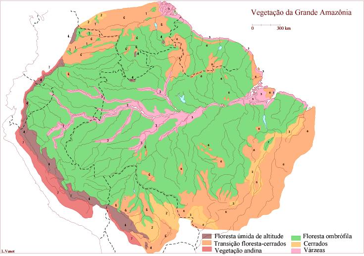 Vegetação da