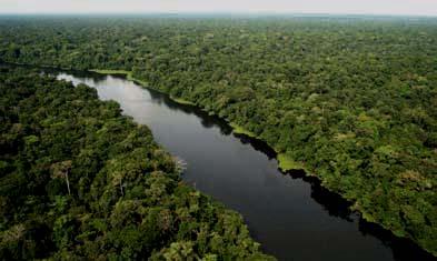 Amazônia