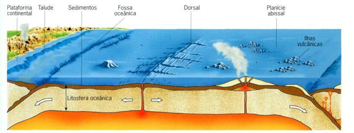 O fundo oceânico apresenta uma paisagem submarina