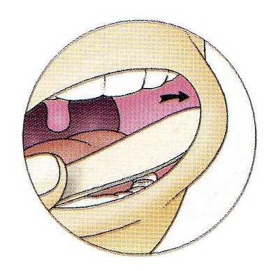 S15. Actividade práctica 2. Observación de células da mucosa bucal.