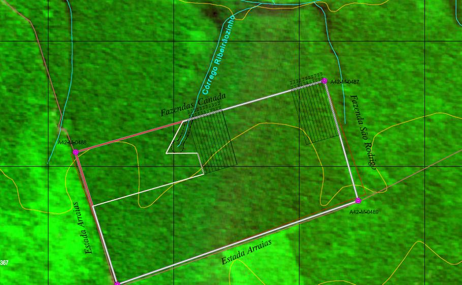 2 Manejo florestal no Mato Grosso de Santa Carmen, MT, sobre um talhão explorado há seis anos (27), em uma área total de 2 ha, com aferição da situação atual (ano 213) da floresta por novo censo.