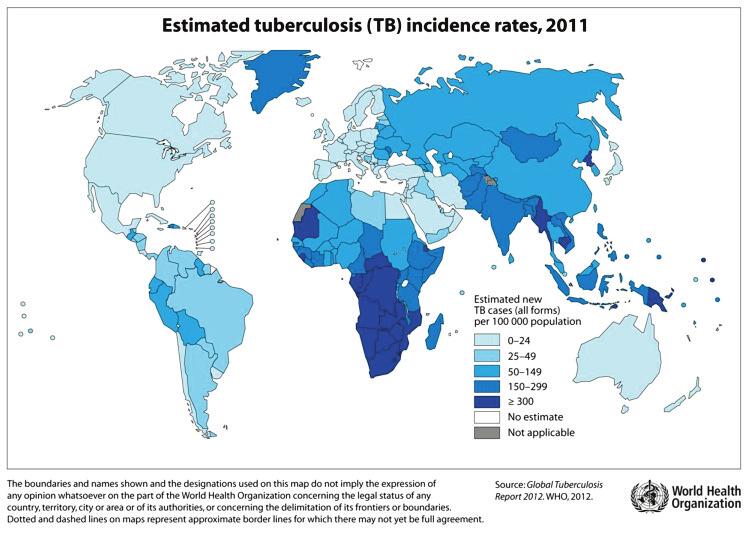 INFORME DA TUBERCULOSE EN GALICIA 2012 Prevalencia: 12,0 millóns (10,0-13,0 millóns) de casos de TB no ano 2011 (170 casos por 100.000 habitantes). No ano 2011 foron estimados 310.000 casos (220.