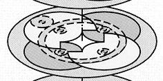 Abertura do diafragma Pivots Movimento de abertura (a) (b) (c) (d) Figura 4.18 Obturadores.