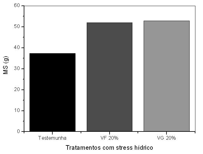 função do tempo de secagem dos solos dos anéis, mostradas na Figura 4.