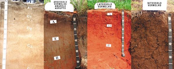 Classificação dos solos CENTRO